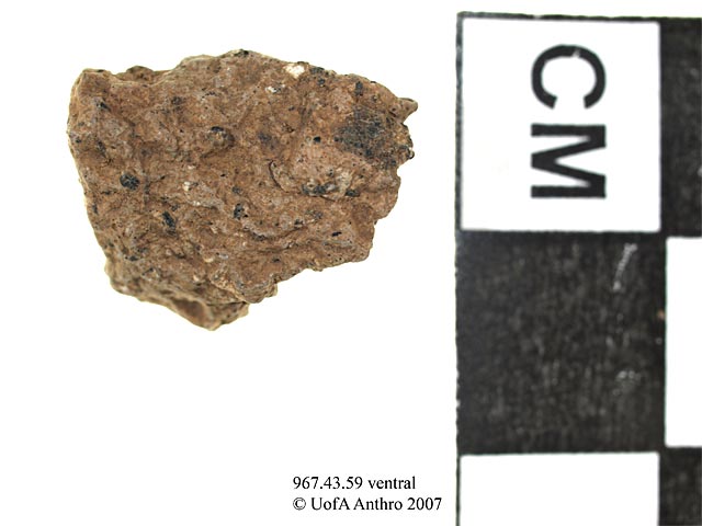 967.43.59 - plainware body sherd