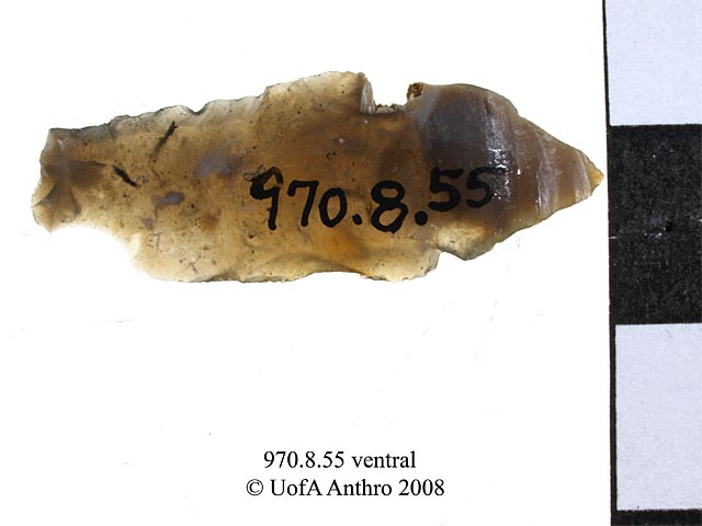 970.8.55 - flake