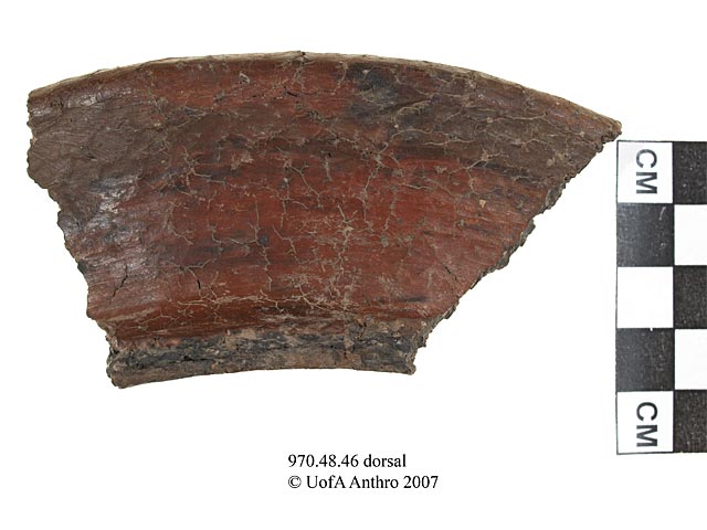 970.48.46 - monochrome rim sherd
