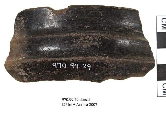 970.99.29 - monochrome shoulder sherd