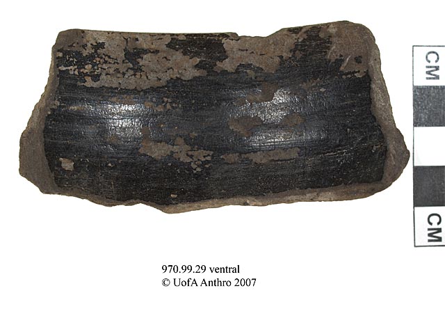 970.99.29 - monochrome shoulder sherd