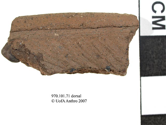 970.101.71 - excised rim sherd