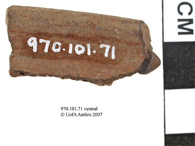 970.101.71 - excised rim sherd
