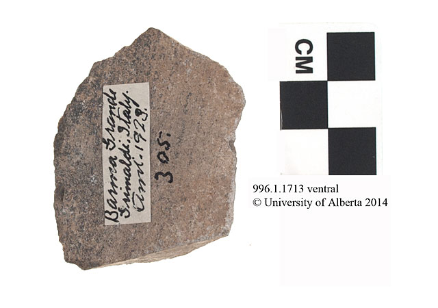 996.1.1713 - disc flake