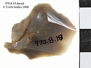 970.8.17 - retouched flake