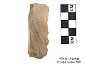 Dorsal view of a bladeUniversity of Alberta, Department of Anthropology