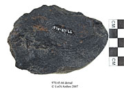 Dorsal view of a chopperUniversity of Alberta, Department of Anthropology