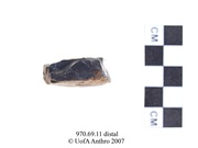 Distal view of a split pebbleUniversity of Alberta, Department of Anthropology