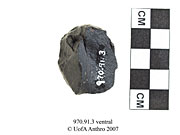 Ventral view of the remnant of a coreUniversity of Alberta, Department of Anthropology