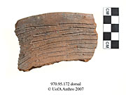 Dorsal view of an incised and monochrome rim sherdUniversity of Alberta, Department of Anthropology
