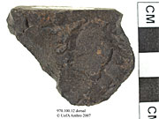 970.100.11 - retouched flake