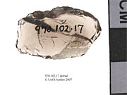 Dorsal view of an utilized flakeUniversity of Alberta, Department of Anthropology