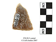 Ventral view of a bifaceUniversity of Alberta, Department of Anthropology