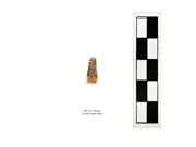 © 2021 University of Alberta