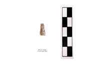 © 2021 University of Alberta