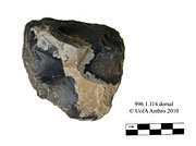 Combe Capelle - Combe Capelle Bas