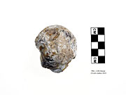 996.1.1295 - piece with continuous retouch - two edges