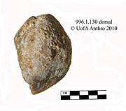 996.1.114 - bidirectionally flaked core