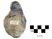 Ventral view of carinated end scraper© 2019 University of Alberta