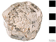 996.1.1358 - atypical core