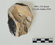 996.1.139 - pseudo-Levallois flake