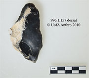 996.1.156 - radially flaked core