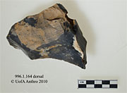 996.1.163 - miscellaneous retouched flake