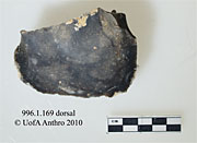 996.1.168 - naturally backed knife