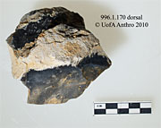 996.1.169 - utilized flake