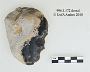 996.1.171 - single convex side scraper