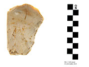 996.1.1348 - polished stone axe