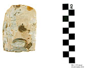 996.1.1351 - polished stone axe