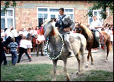 Grooms Arrival on Horse
