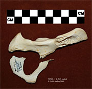 © 2010 University of Alberta