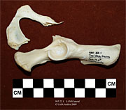 © 2010 University of Alberta